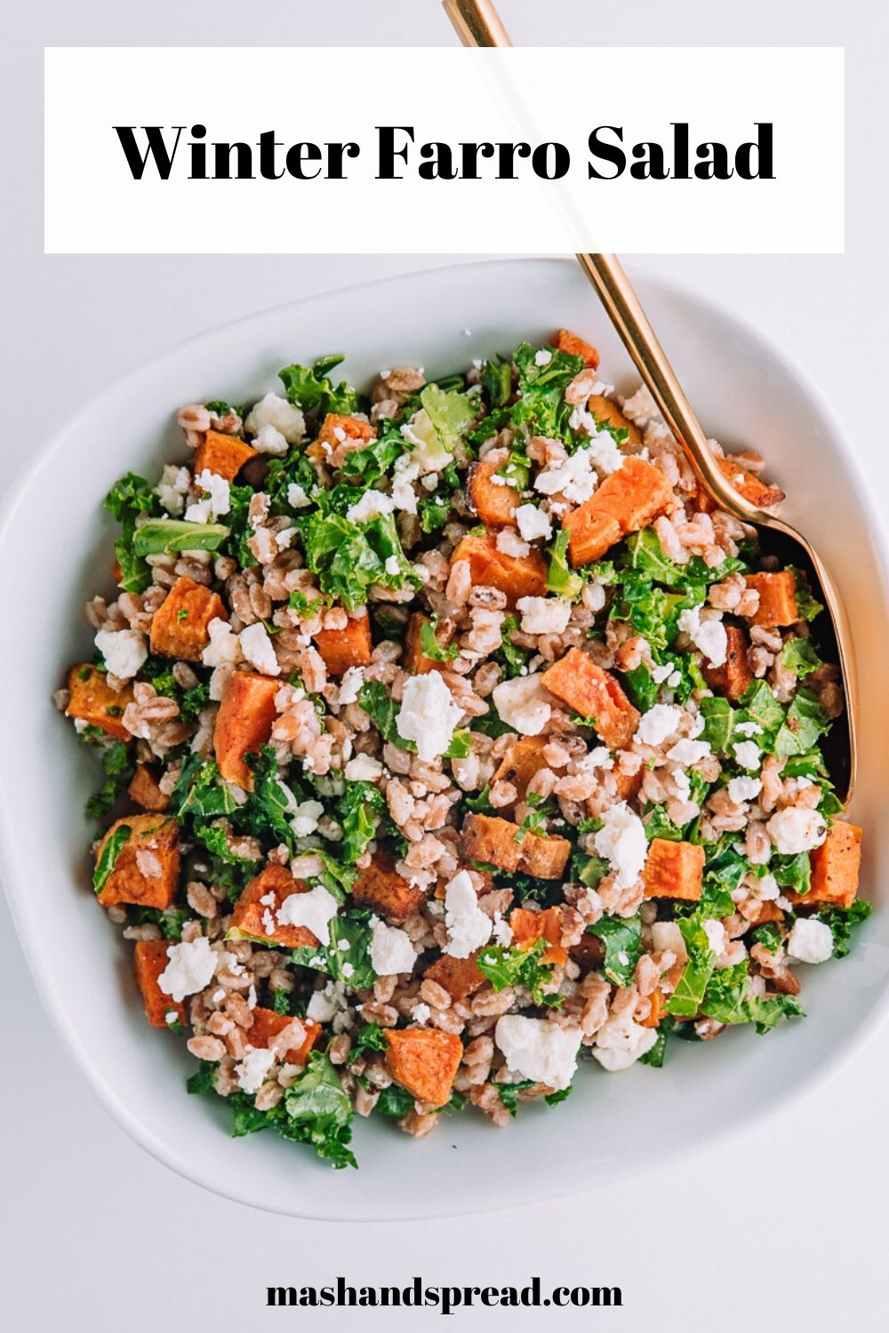 What's in my bowl? A filling, healthy seasonal cozy meal- Winter Faro Salad  made with Nature's Green's Kale. Filled with protein, fiber, and other vitamins and mineral. Get the recipe here! #highfiber #meatlessmeals #wintermeals #recipe #kale #healthyrecipes